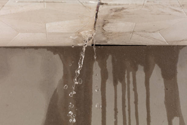 Professional Burst Pipe Cleanup technician working in Dania, FL